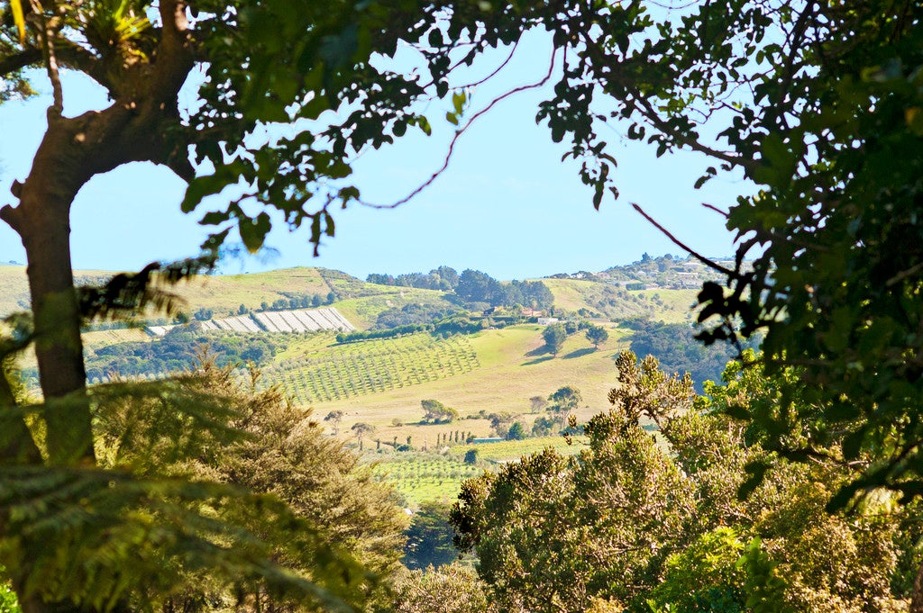 73 Trig Hill Road, Onetangi, Waiheke Island - Carousel 1