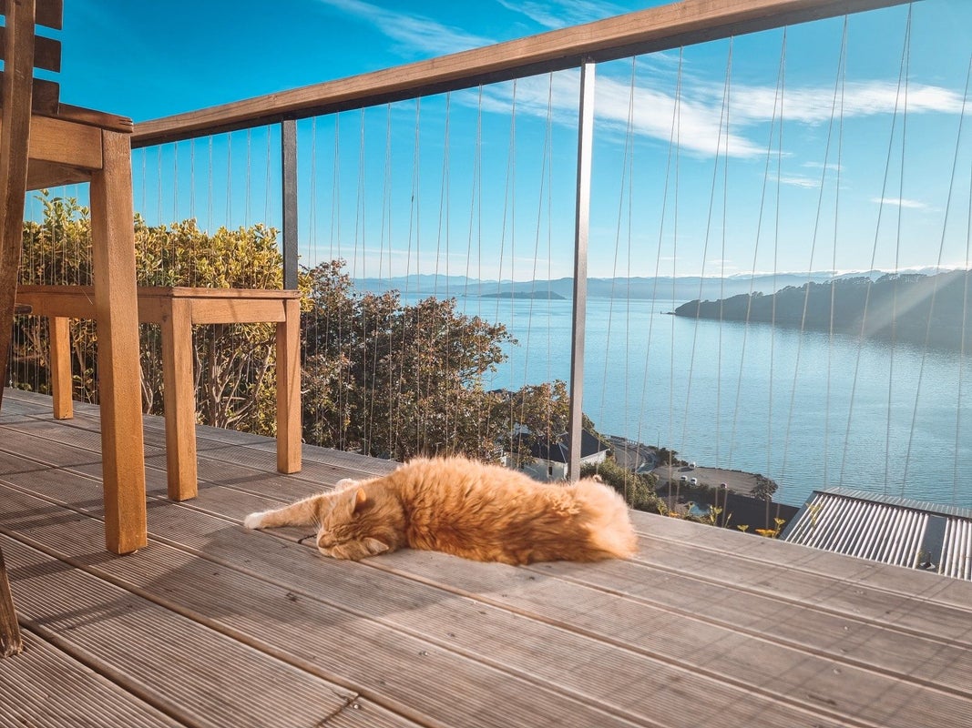 63 Grafton Road, Roseneath, Wellington - Carousel 2