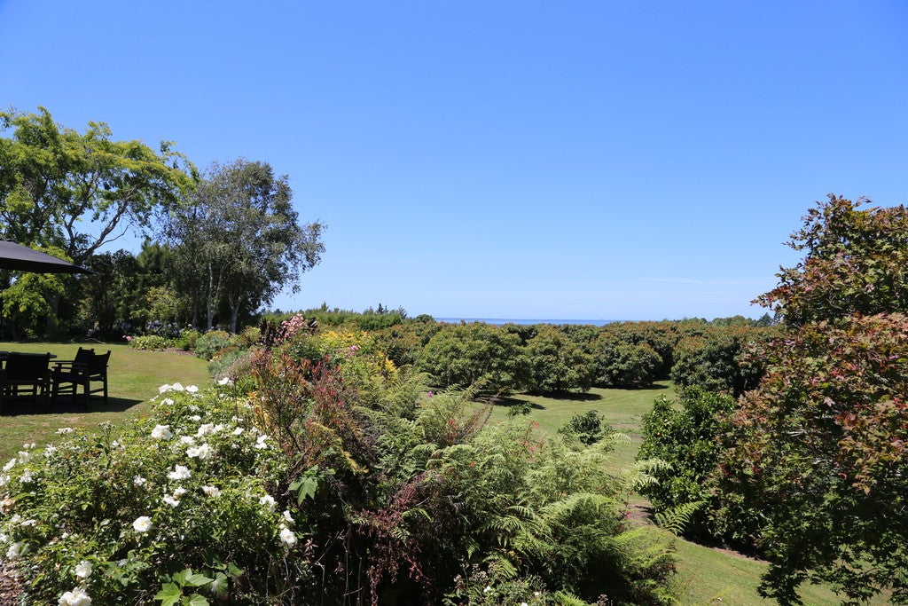 334 Wharawhara Road, Tahawai, Katikati - Carousel 1