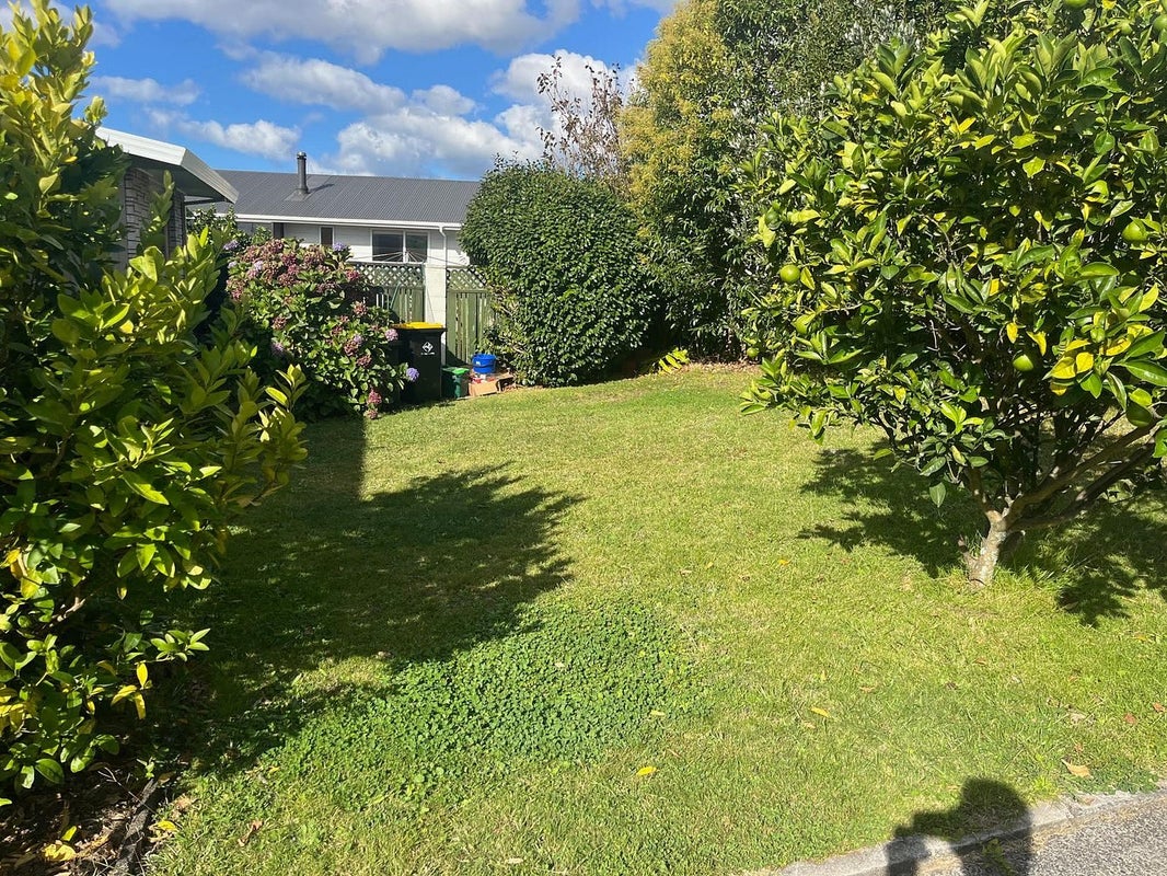 15 Lorna Place, Brookfield, Tauranga - Carousel 9