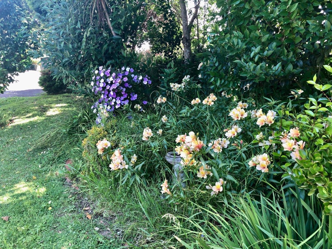 1/5 Miro Road, Greenlane, Auckland - Carousel 12