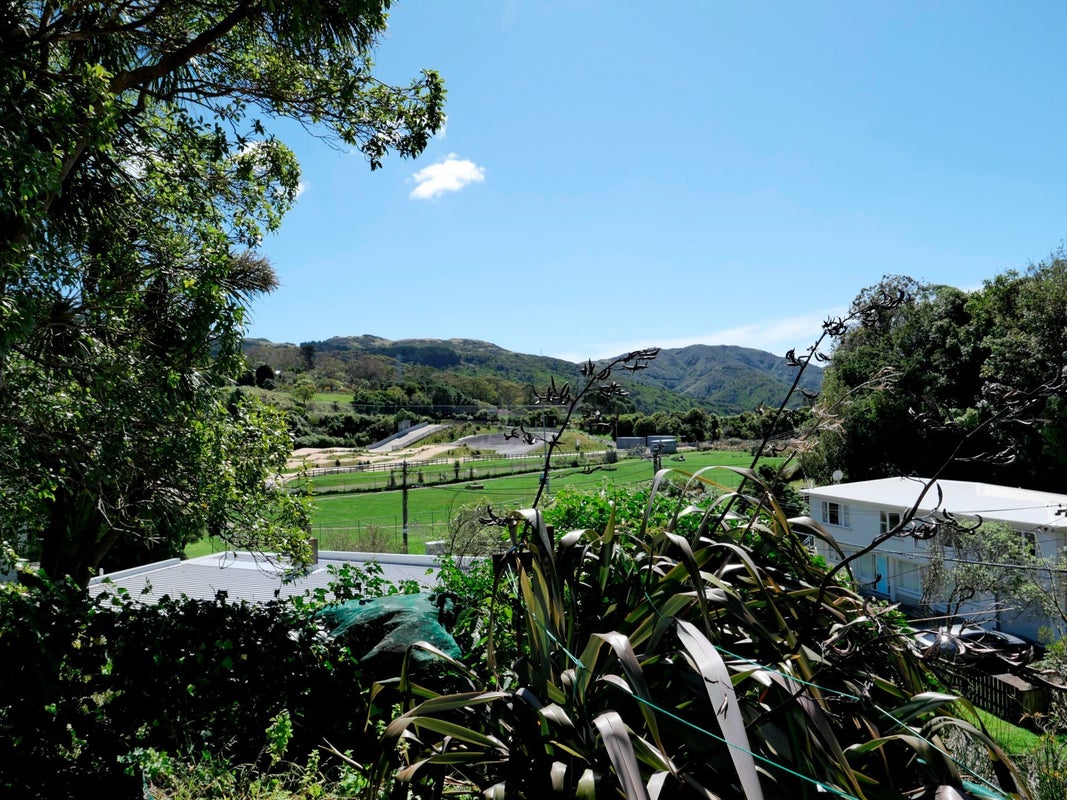 45 Randwick Road, Northland, Wellington - Carousel 2