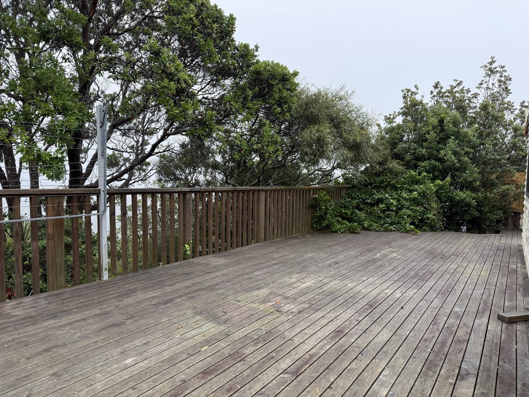 148 The Ridgeway, Mornington, Wellington - Carousel 15