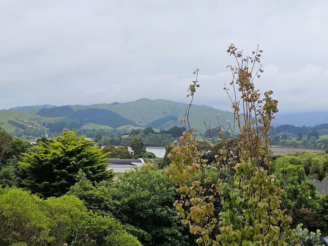 7 Lanyon Place, Whitby, Porirua - Carousel 18