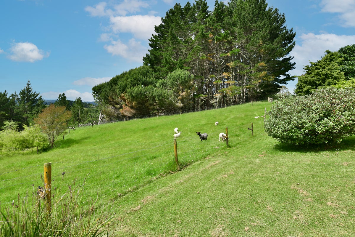 472 Krippner Road, Silverdale - Carousel 20