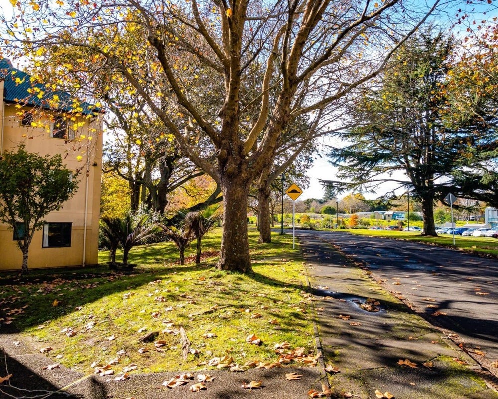 28/125 Carrington Road, Mount Albert, Auckland - Carousel 11