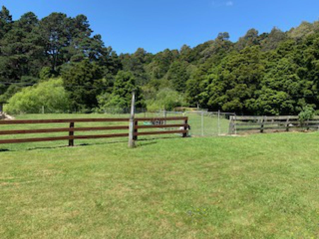 16 Whio Street, Pongaroa - Carousel 17