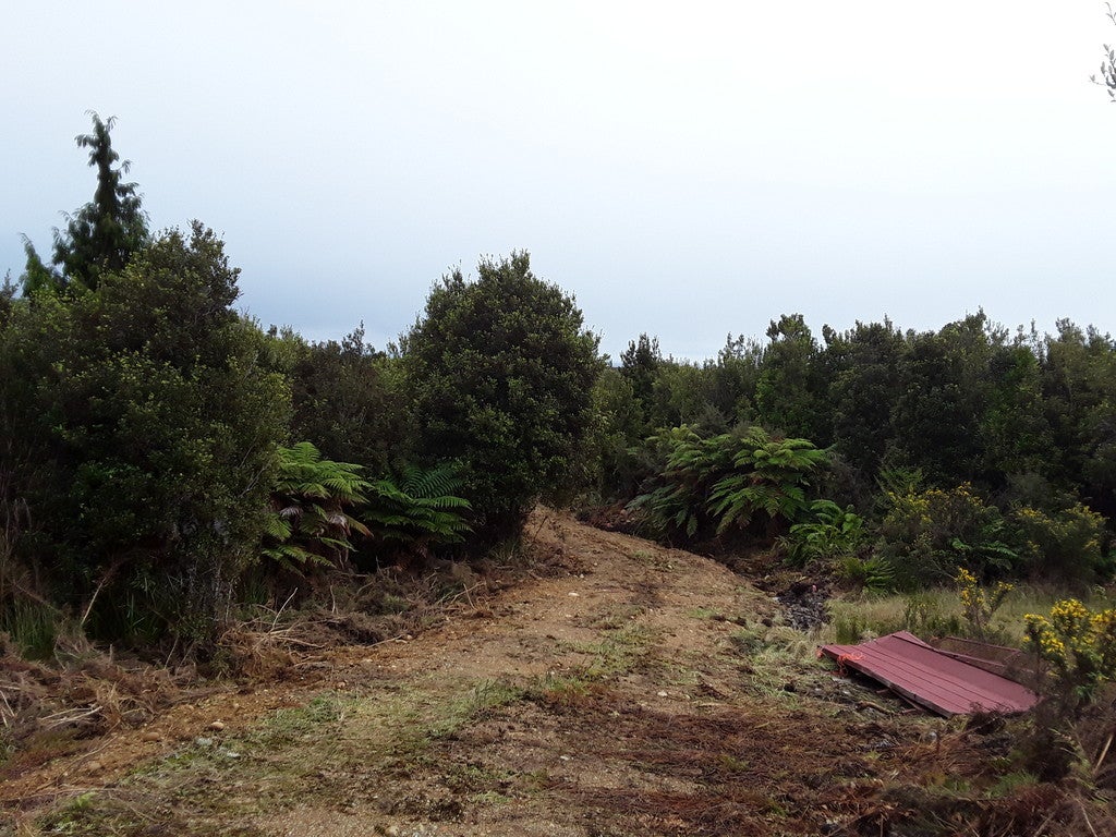 8 Little Paddock, BLUE SPUR, HOKITIKA - Carousel 1