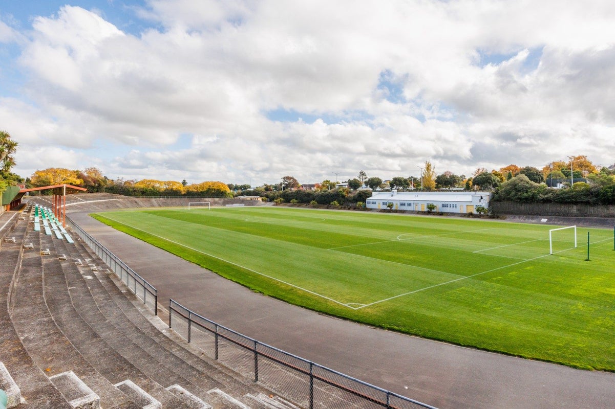 45 Frederick Street, Terrace End, Palmerston North - Carousel 12