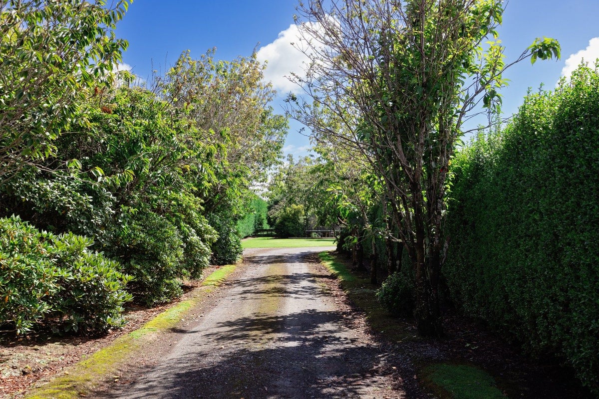 202 Mona Bush Road, Roslyn Bush, Invercargill - Carousel 27