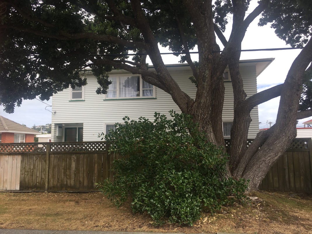 28 Camperdown Road, Miramar, Wellington - Carousel 1