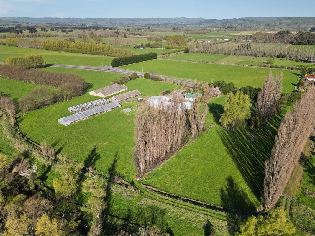 2615 State Highway 63, Blenheim - Carousel 23