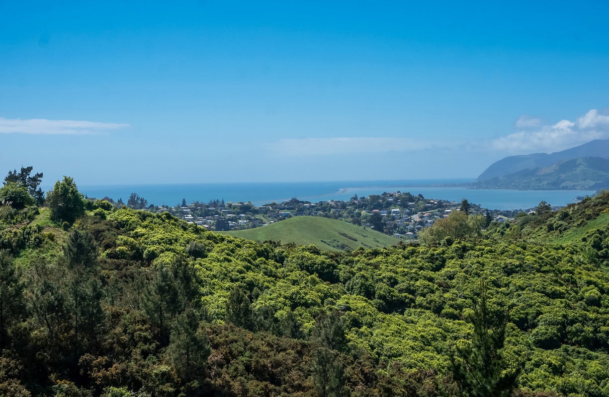 9 Istana Place, Britannia Heights, Nelson - Carousel 1