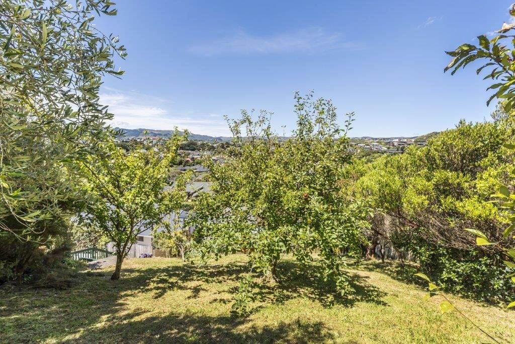 22 Shackle Lane, Whitby, Porirua - Carousel 18