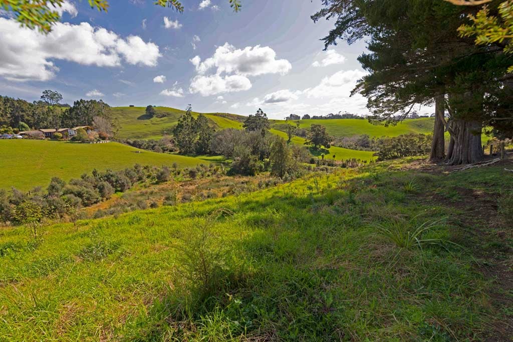 164 Annandale Road, Kumeu - Carousel 26