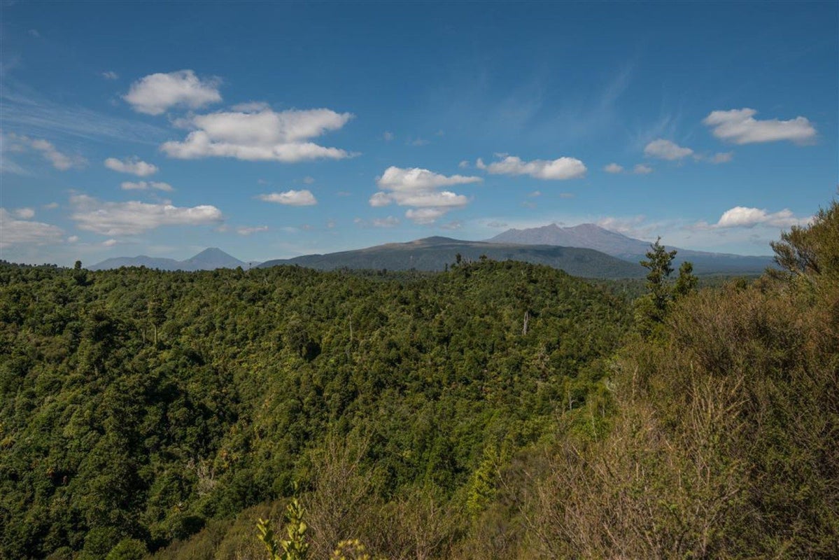550E Cuff Road, Erua - Carousel 38