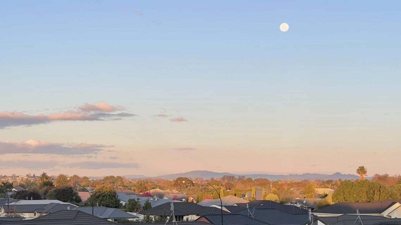 57 Sylvester Crescent, Flagstaff, Hamilton - Carousel 29