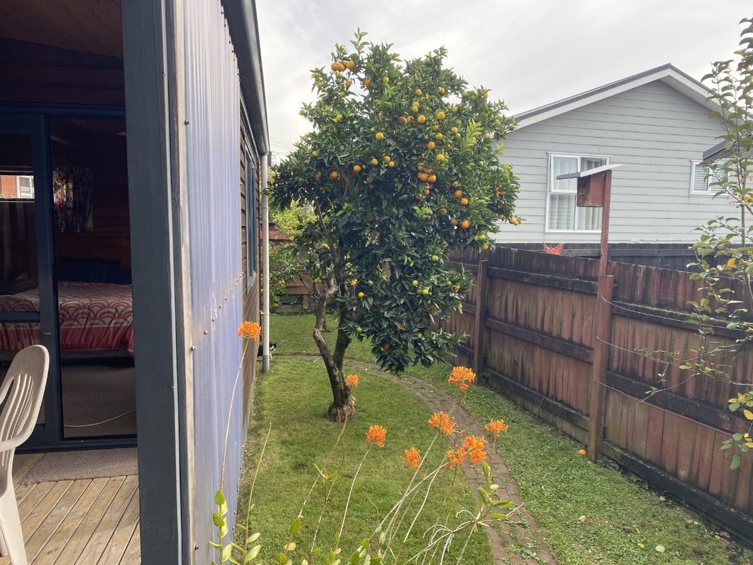 69 Clarke Street, Gate Pa, Tauranga - Carousel 1