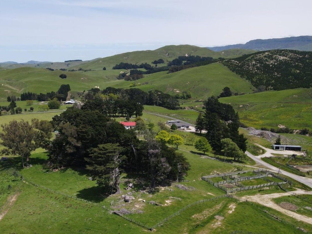 923 Oporae Road, Dannevirke - Carousel 25