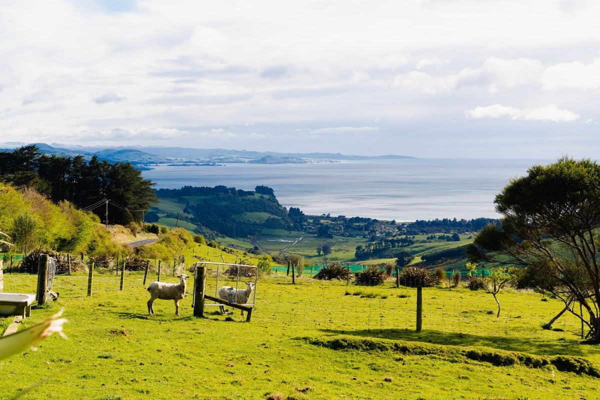 162 Purakaunui Road, Mihiwaka, Port Chalmers - Carousel 2