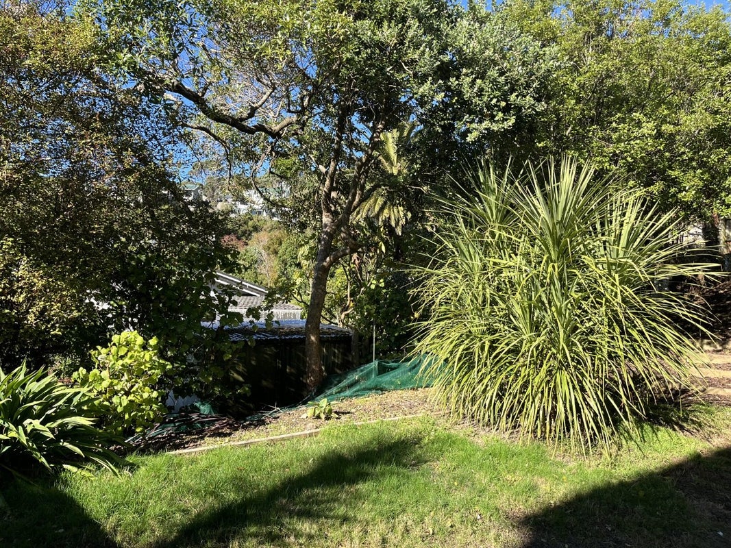 B1/12A QUETTA ST, NGAIO, WELLINGTON - Carousel 17