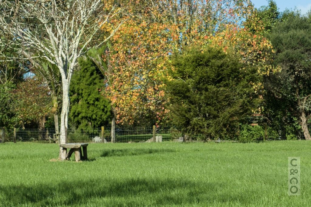 408 Taupaki Road, Kumeu - Carousel 2