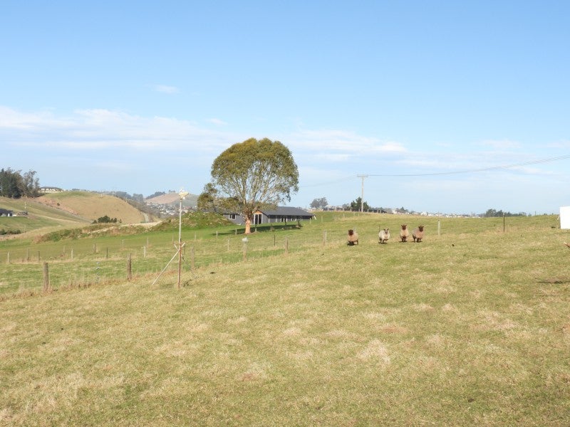 43 Tutu Hill Road, Waiareka Junction, Oamaru - Carousel 20
