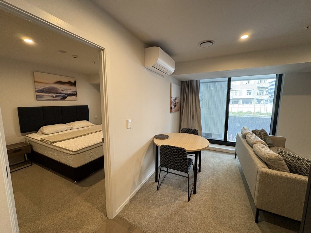 113/123 Taranaki Street, Te Aro, Wellington - Carousel 1