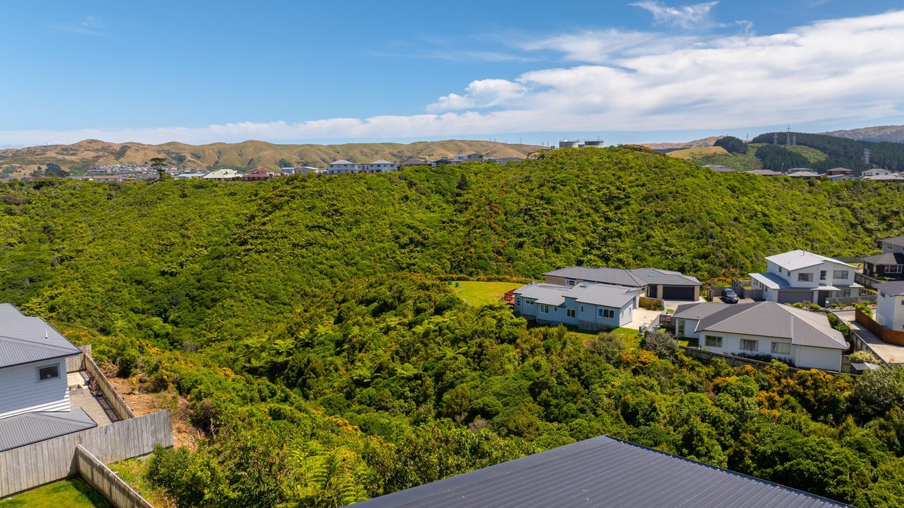 12 Trelawny Terrace, Grenada Village, Wellington - Carousel 24