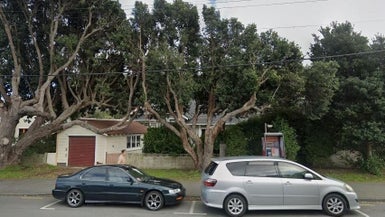 150 The Parade, Island Bay, Wellington - Carousel 1