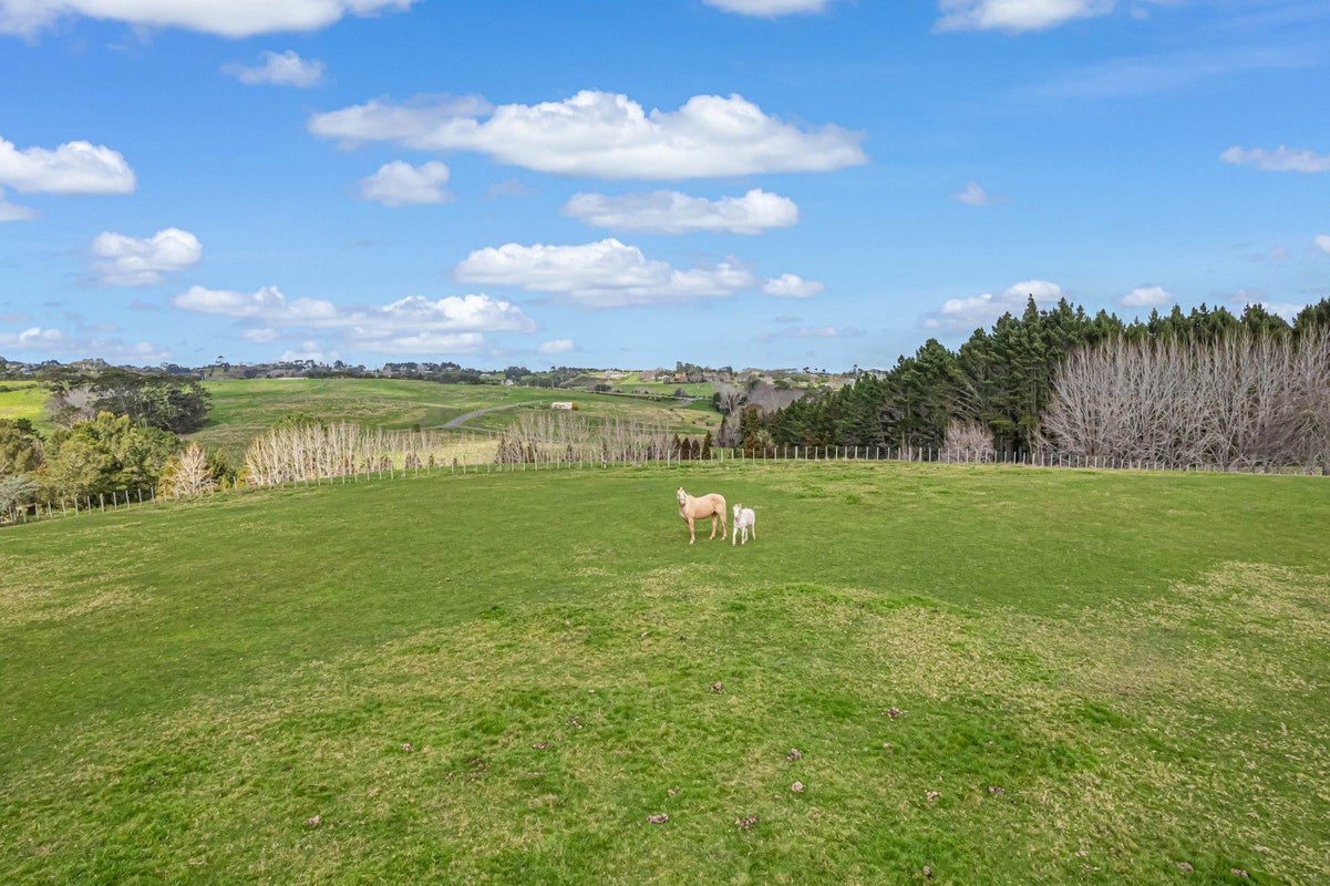 16 Potts Road, Howick - Carousel 21