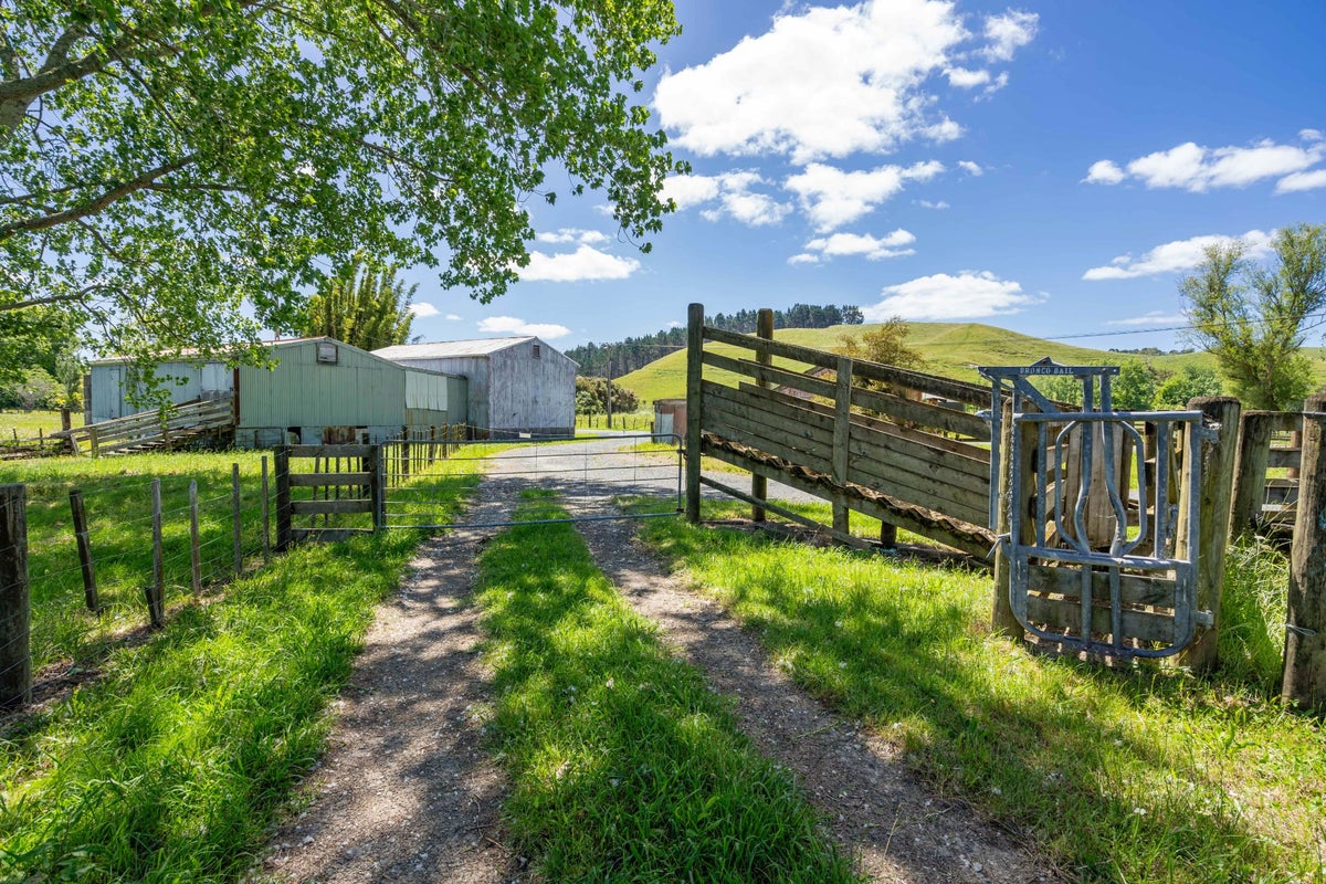 228 Flyger Road, Whangarei - Carousel 2