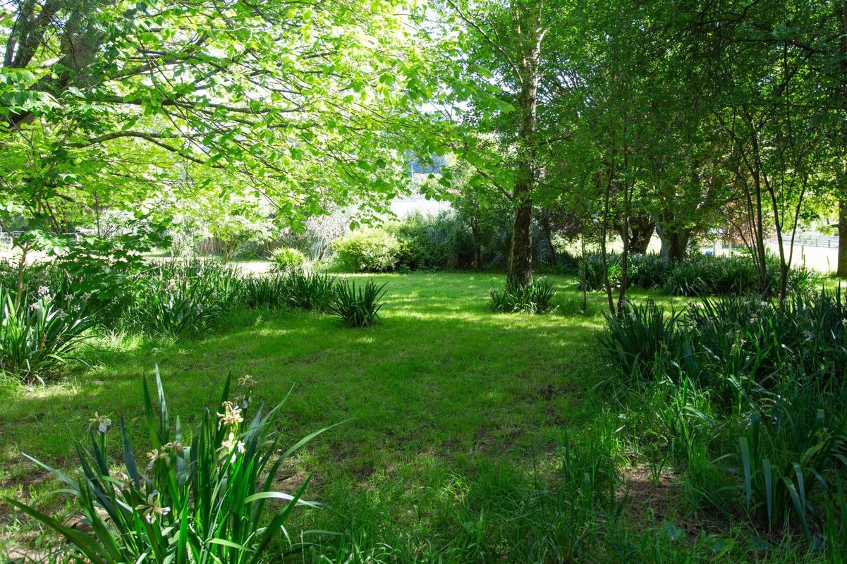 0 Norsewood Ormondville Rd, Norsewood - Carousel 1