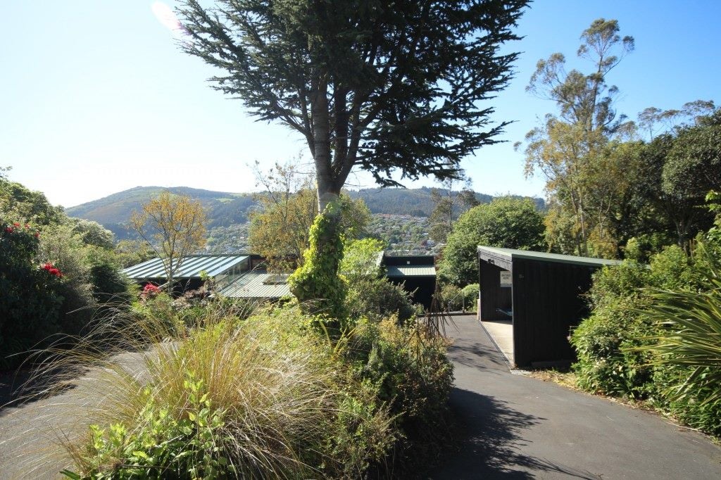 8A Croydon Street, North East Valley, Dunedin - Carousel 2