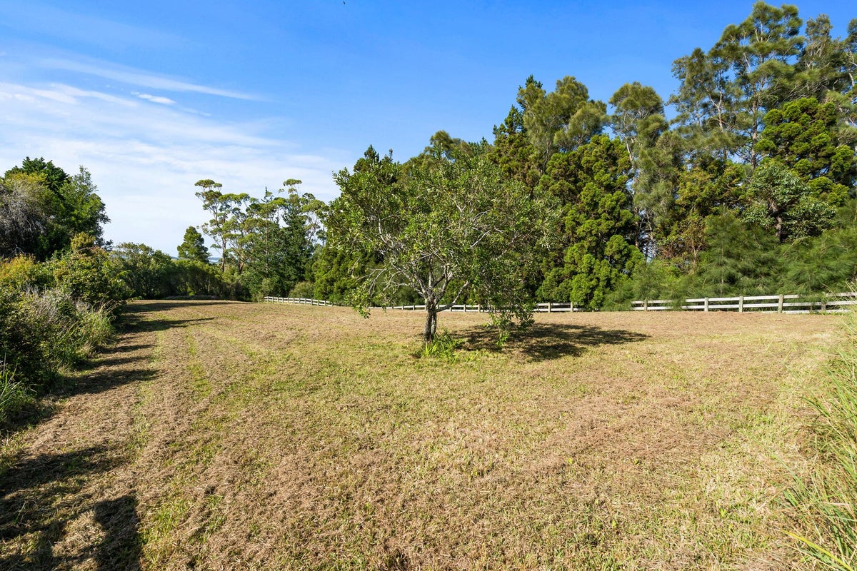 343 HEWLETT RD, MATA, WHANGAREI - Carousel 24
