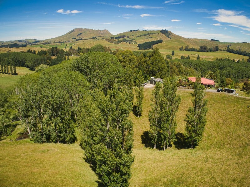 567 Maraetotara Road, Maraetotara, Waimarama - Carousel 2