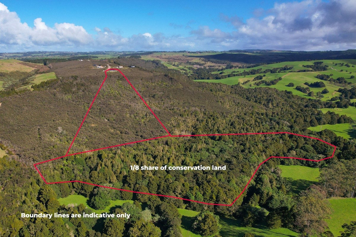 145 Ridge Way, Waipapa, Kerikeri - Carousel 30