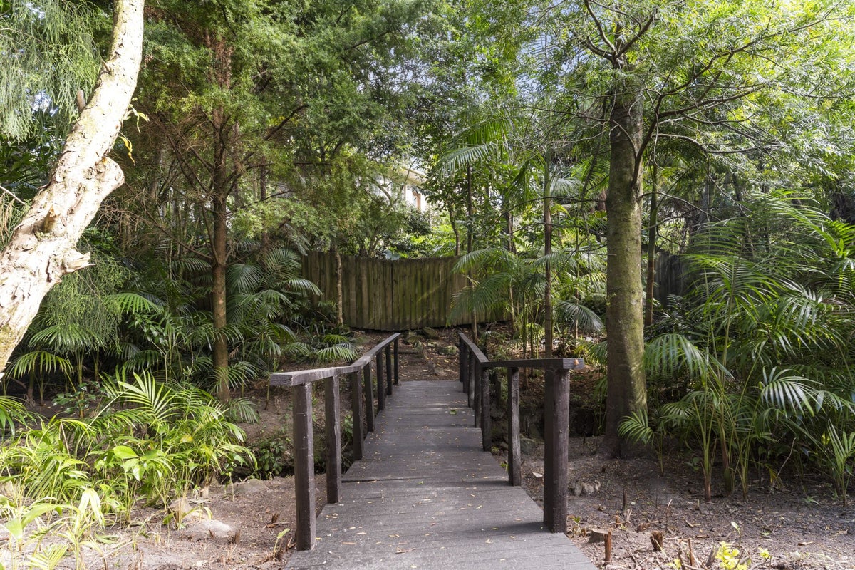5 Titchener Street, New Lynn, Auckland - Carousel 2