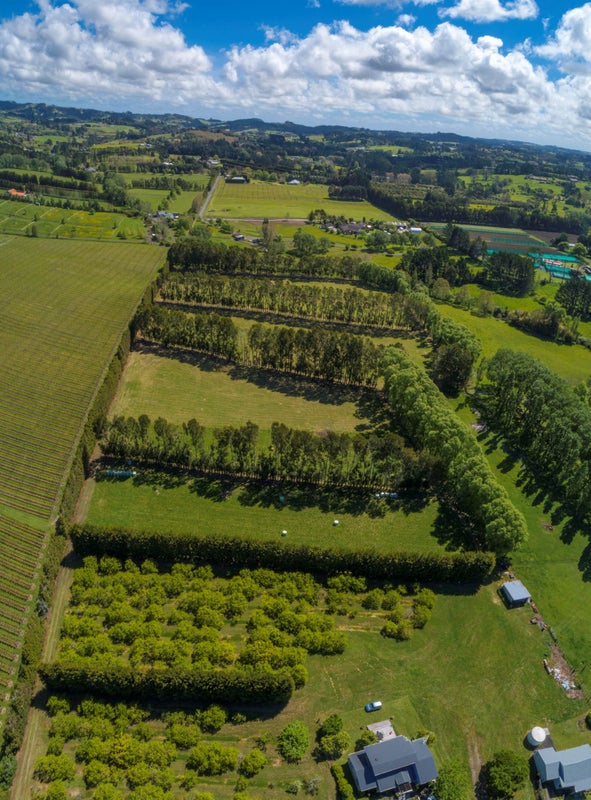 148 Waitakere Road, WAITAKERE, AUCKLAND - Carousel 10