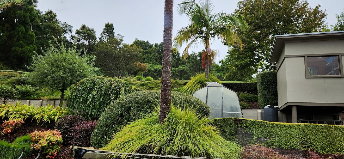 310 Appleby Road, Drury, Drury - Carousel 27