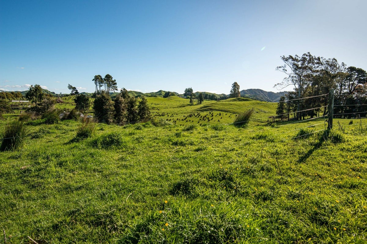 0 Ruatiti Road, Ruatiti, Raetihi - Carousel 9