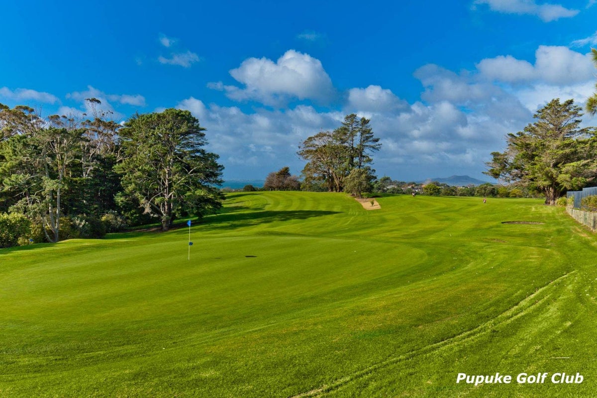 3 Tree Fern Trail, Campbells Bay, Auckland - Carousel 31