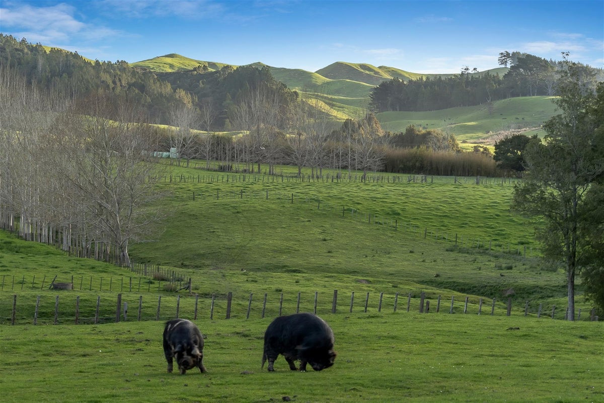 79 Adams Road, Whareora, Whangarei - Carousel 32