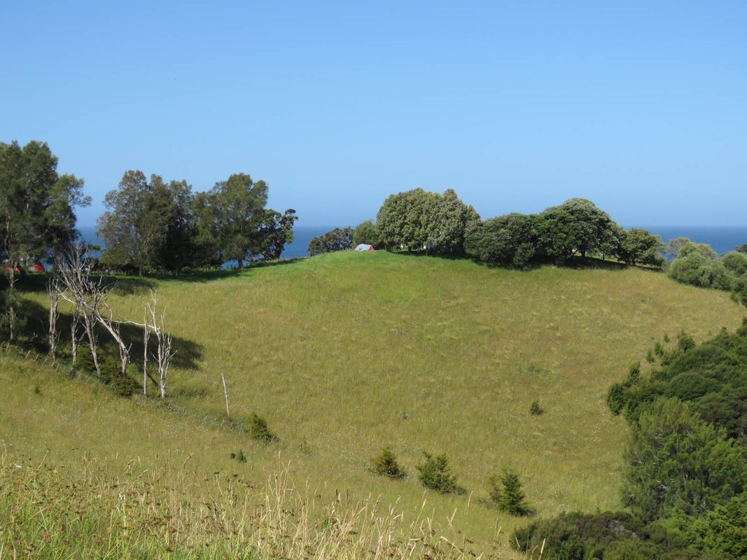 0 Rockell Road, Whananaki, Hikurangi - Carousel 2