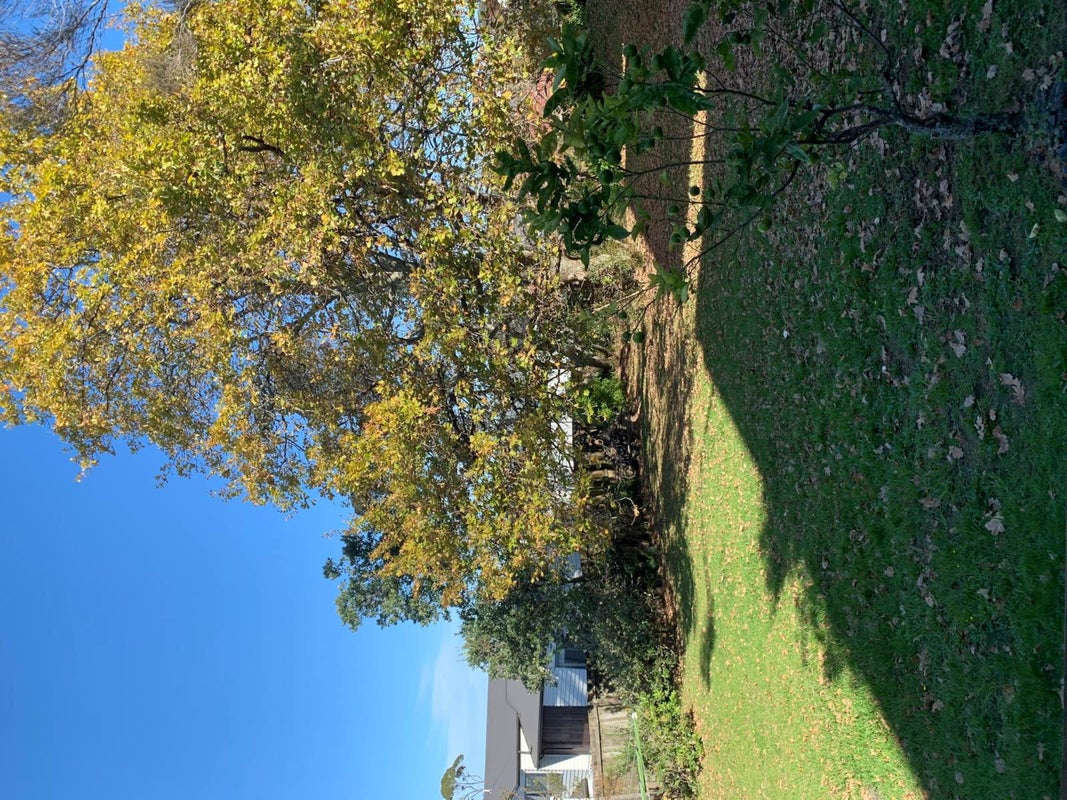 57 Castledine Crescent, Glen Innes, Auckland - Carousel 1