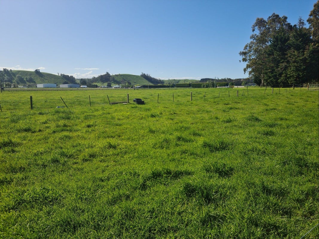 78 T Y Duncan Road, Oamaru North, Oamaru - Carousel 18