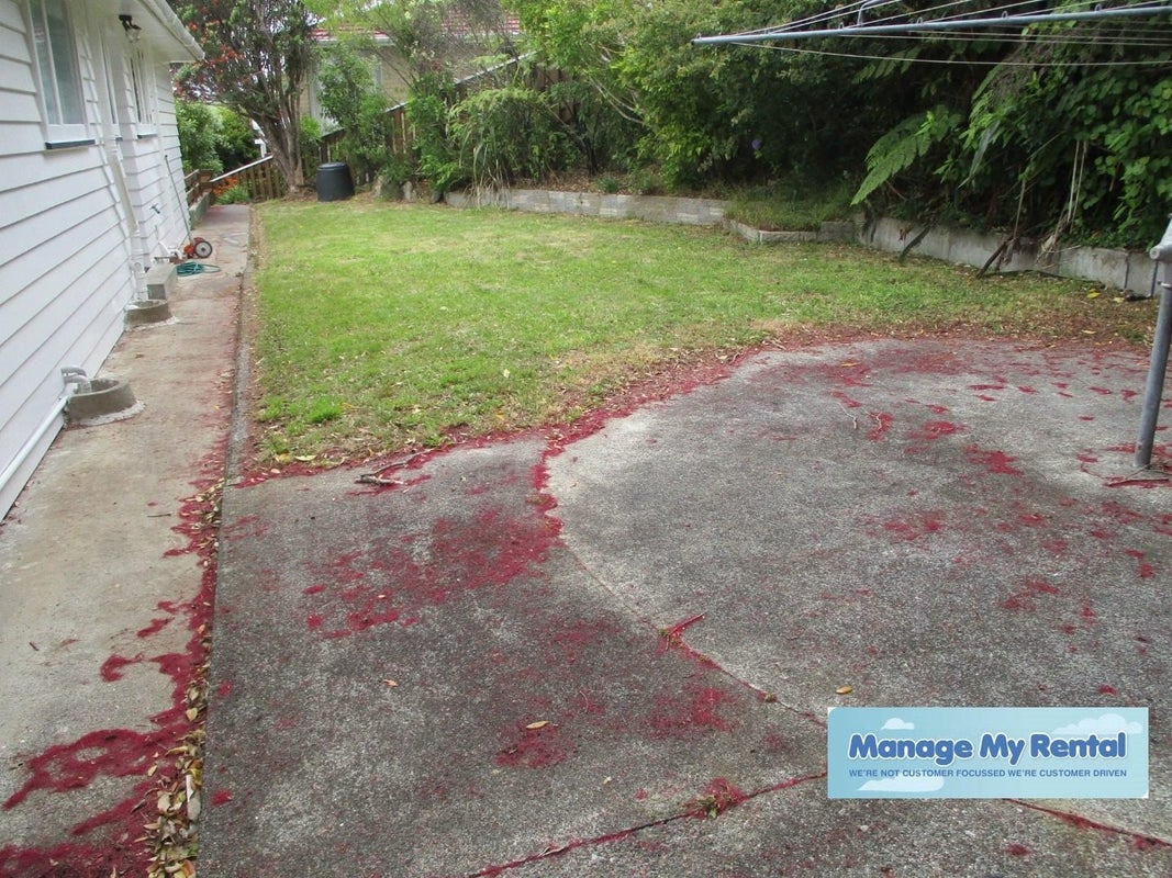 48 Monaghan Avenue, Karori, Wellington - Carousel 12
