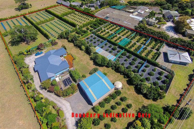 14 Mountain Road, Sentry Hill, New Plymouth - Carousel 1