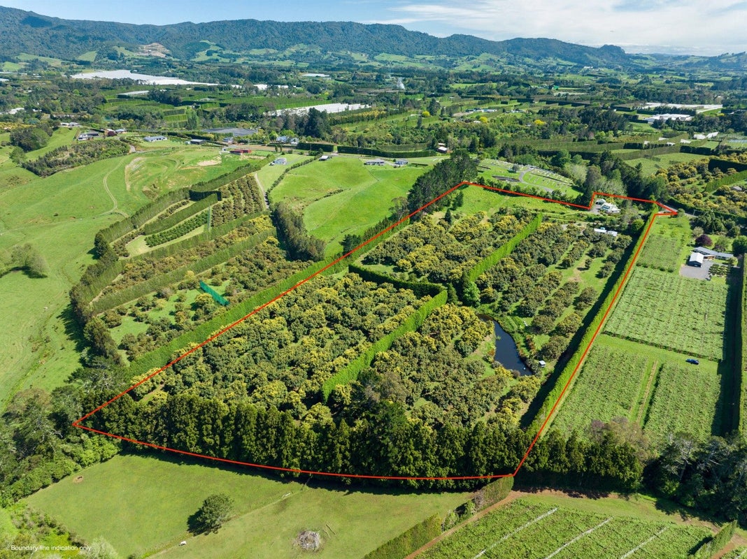 39 Hot Springs Road, Tahawai, Katikati - Carousel 45