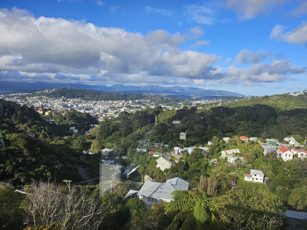 41 Koromiko Road, Aro Valley, Wellington - Carousel 10